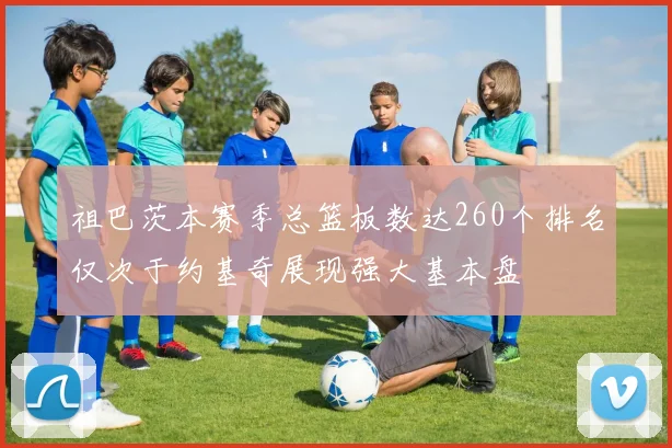 祖巴茨本赛季总篮板数达260个排名仅次于约基奇展现强大基本盘