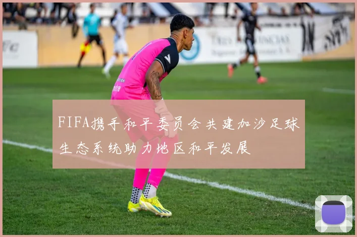 FIFA携手和平委员会共建加沙足球生态系统助力地区和平发展