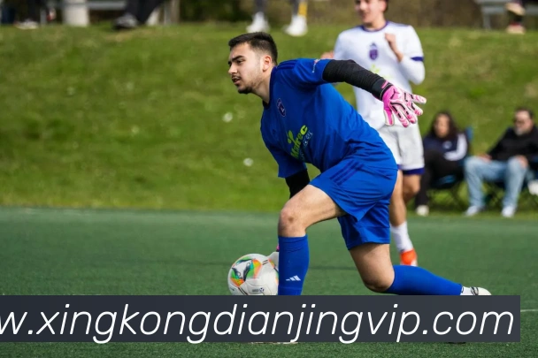 星空电竞平台生态图